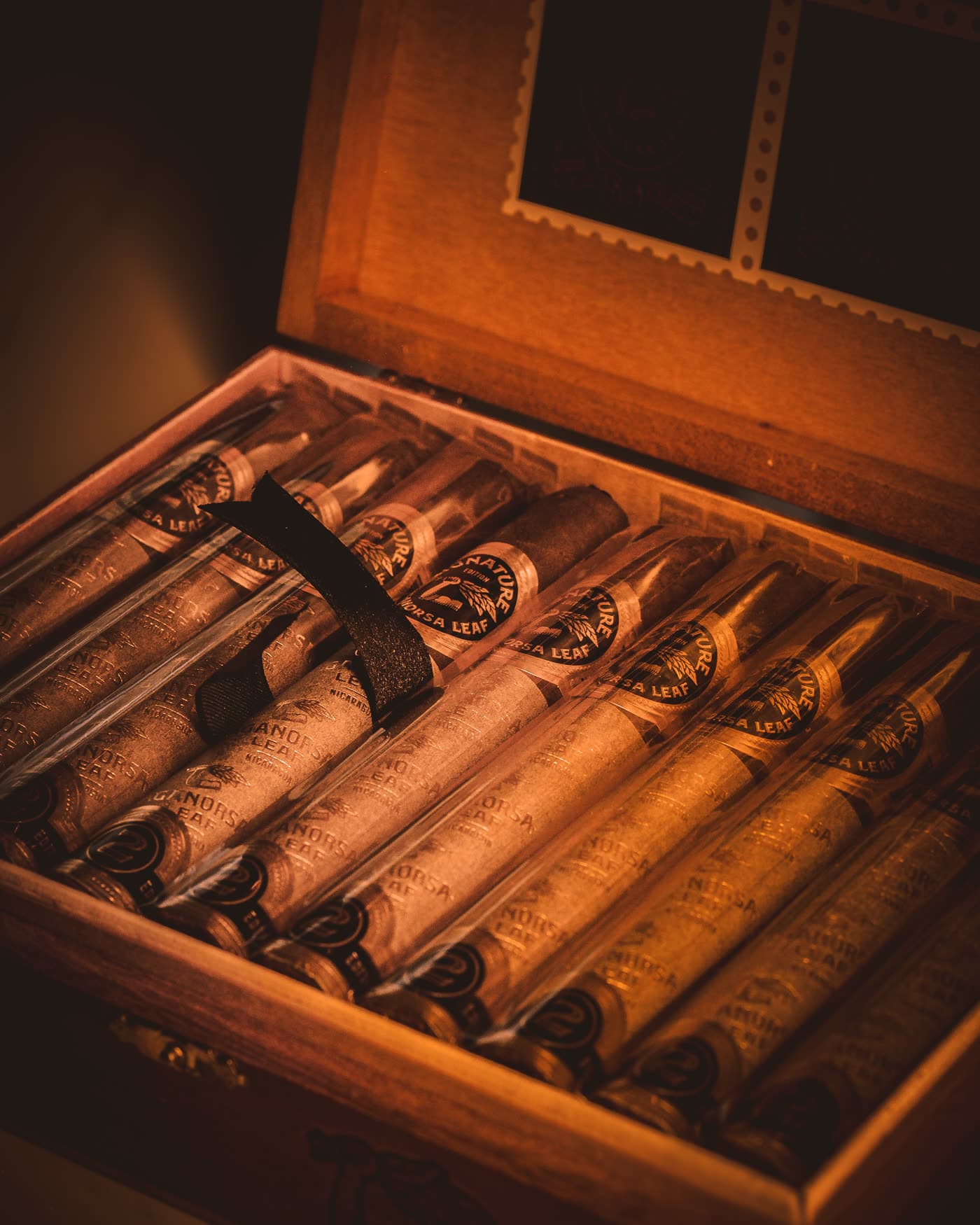 An open humidor of Signature Edition cigars in cellophane sleeves, lit warmly from one side.