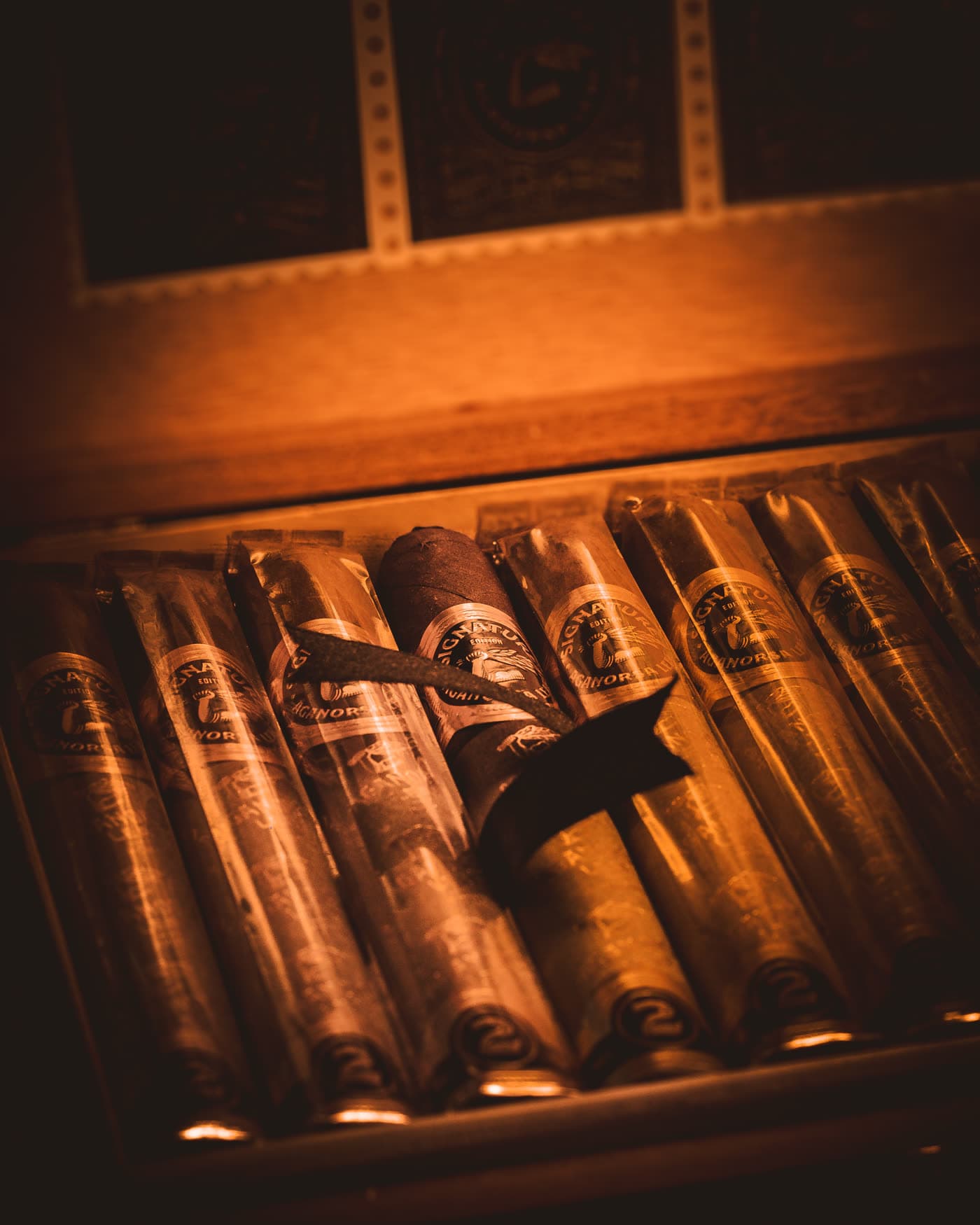 Vertical commercial cigar composition balancing packaging and atmosphere.